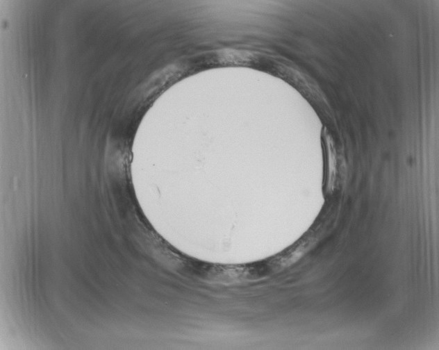X0000086340329200704272013