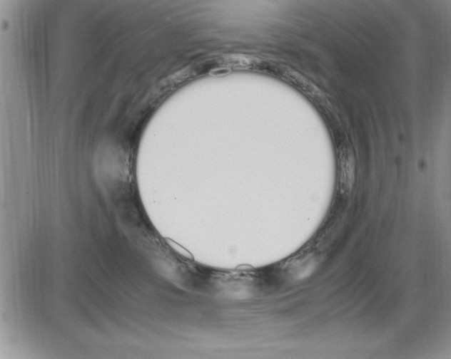 X0000086340331200704272013