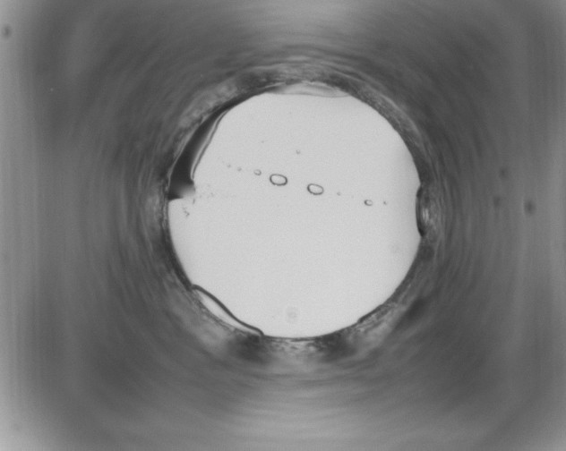 X0000086340333200704272013