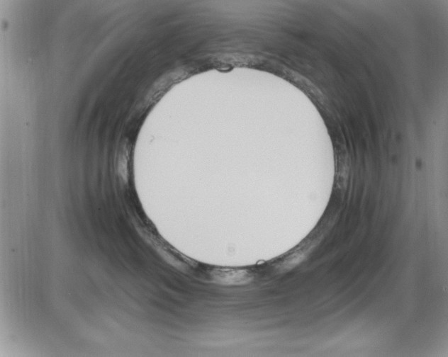 X0000086340334200704272013