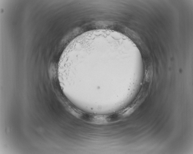 X0000086340335200704272013