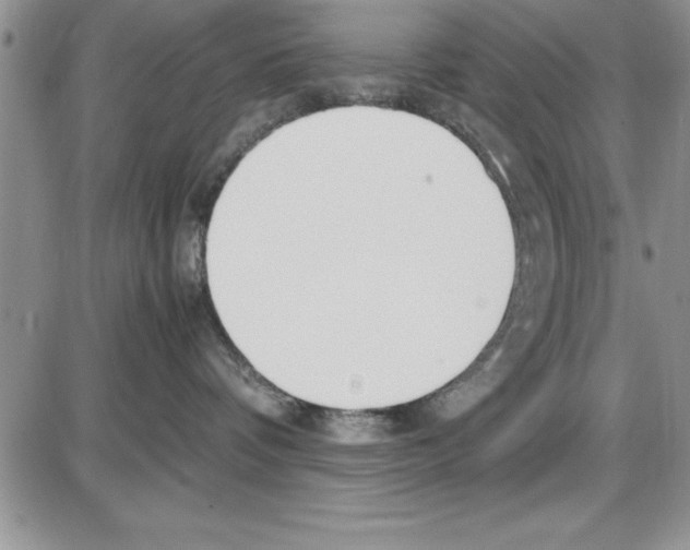 X0000086340336200704272013