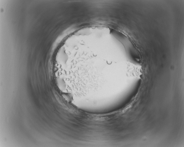 X0000086340343200704272012