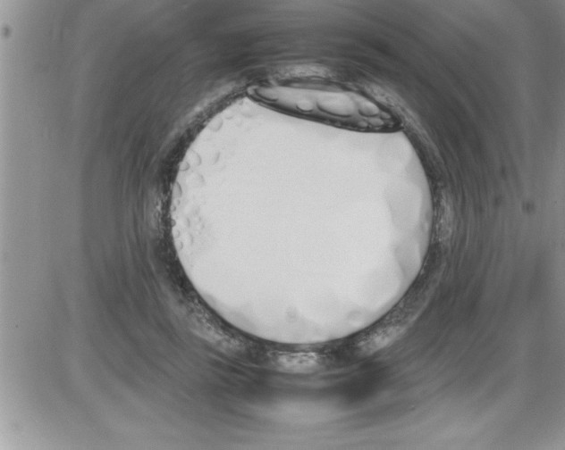 X0000086340355200704272013