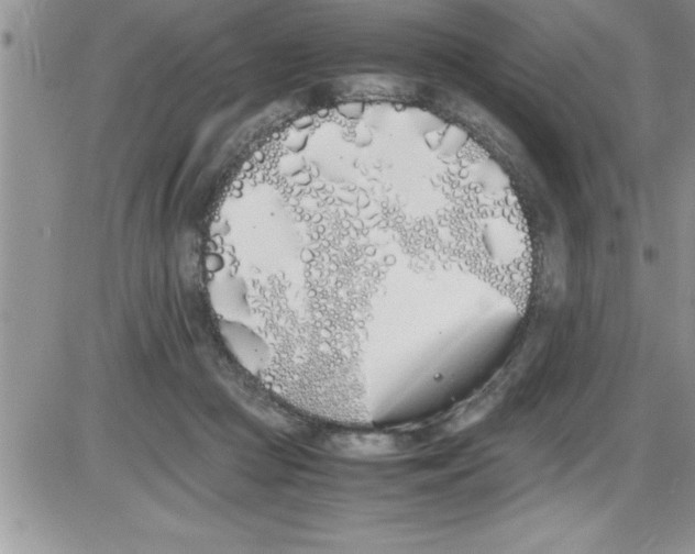 X0000086340361200704272013