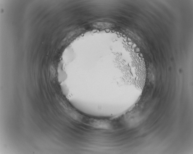 X0000086340371200704272013