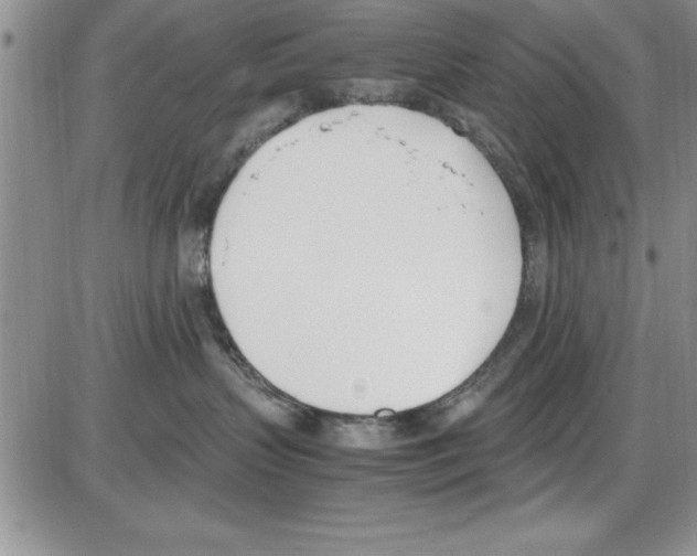 X0000086340383200704272013