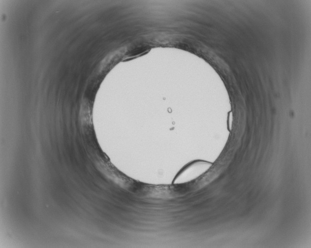 X0000086340384200704272013