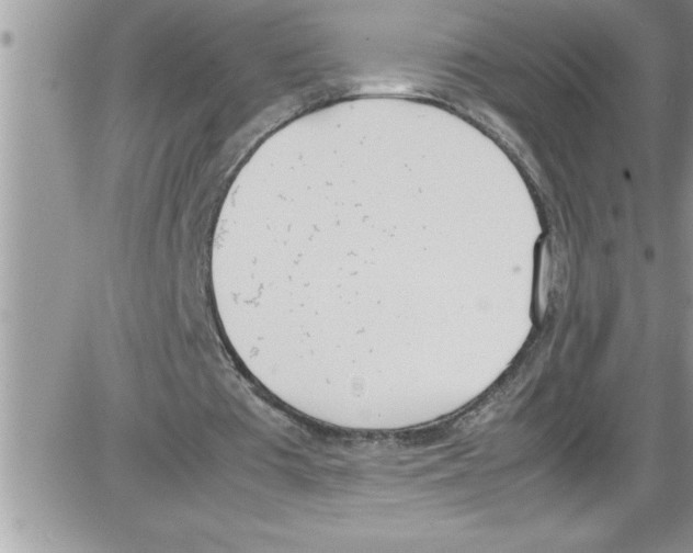X0000086340385200704272012