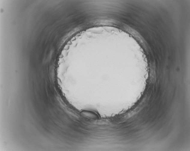 X0000086340386200704272012