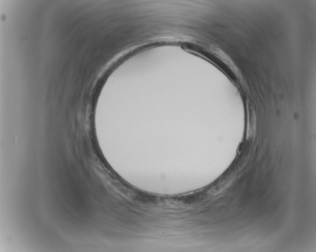 X0000086340387200704272012