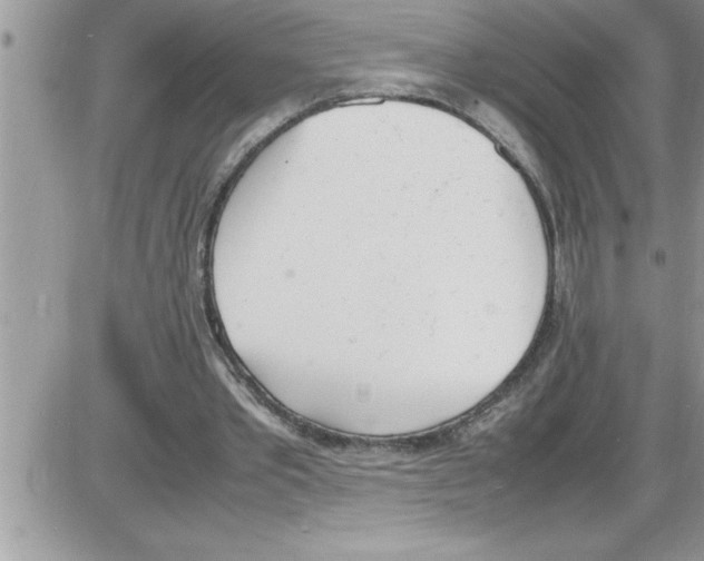 X0000086340389200704272012