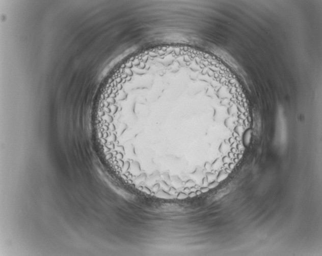 X0000086340390200704272012