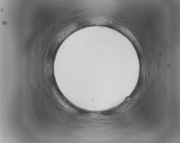 X0000086340393200704272012