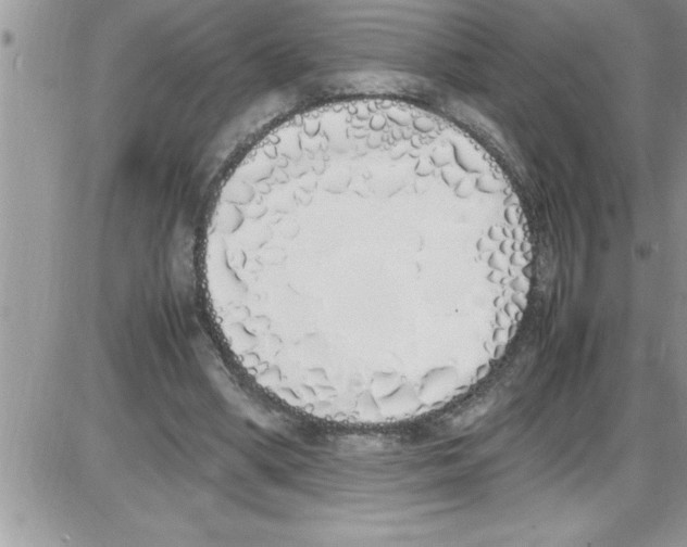 X0000086340394200704272012