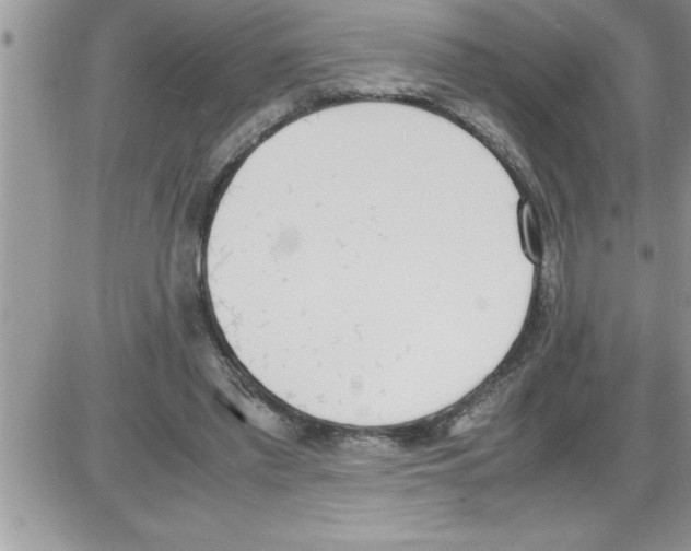 X0000086340397200704272012