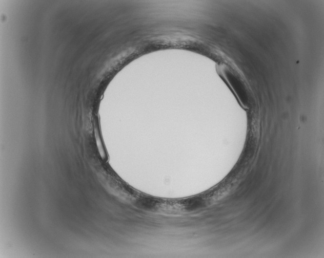 X0000086340403200704272012