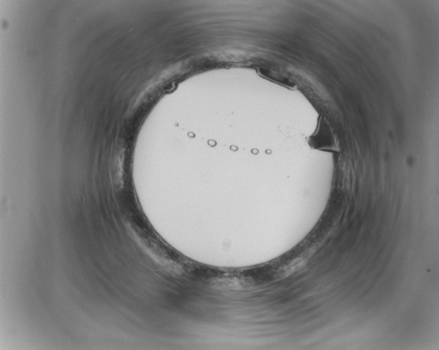 X0000086340404200704272012