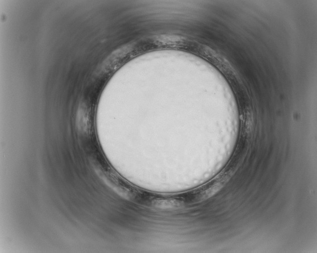 X0000086340408200704272012