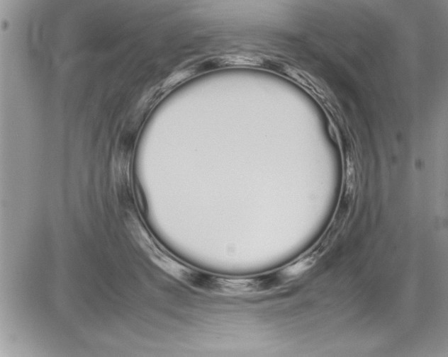 X0000086340409200704272012
