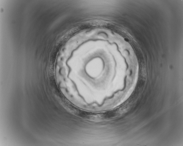 X0000086340411200704272012