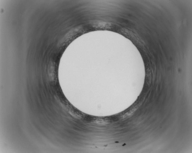 X0000086340416200704272012