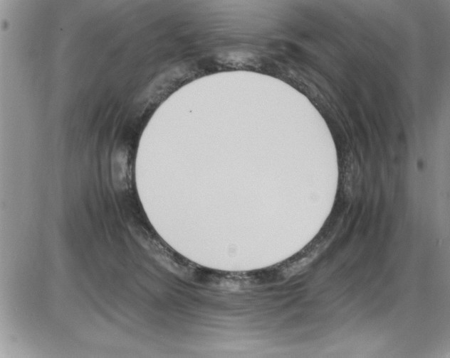 X0000086340420200704272012