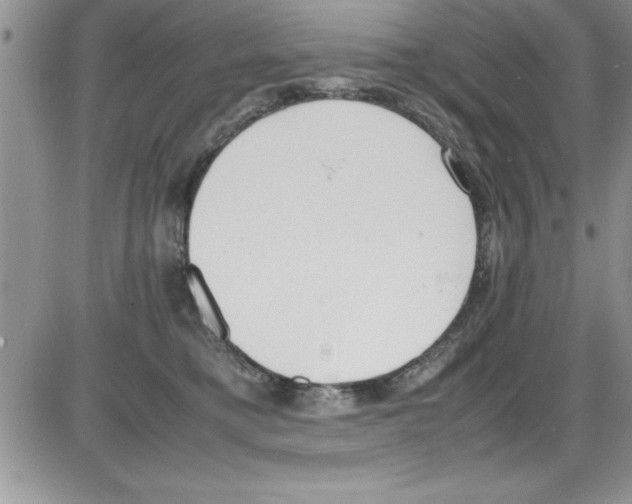 X0000086340421200704272012