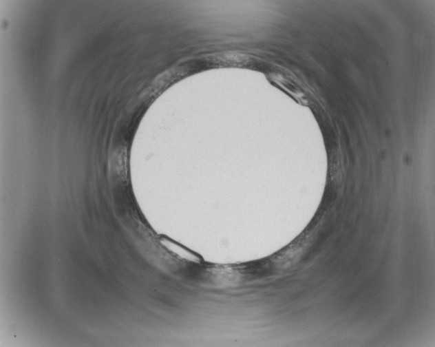 X0000086340425200704272012