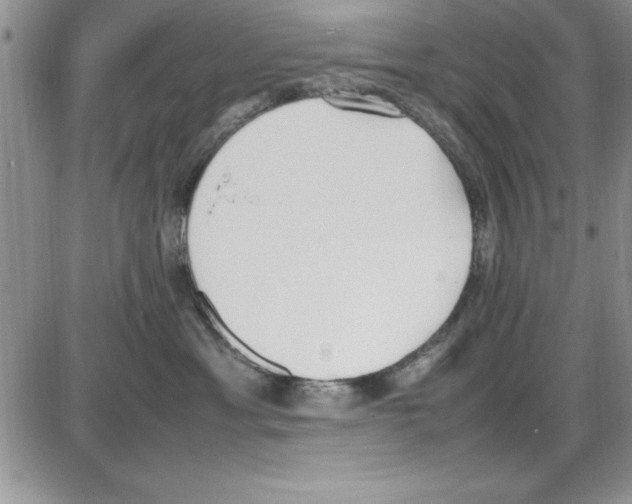 X0000086340429200704272012