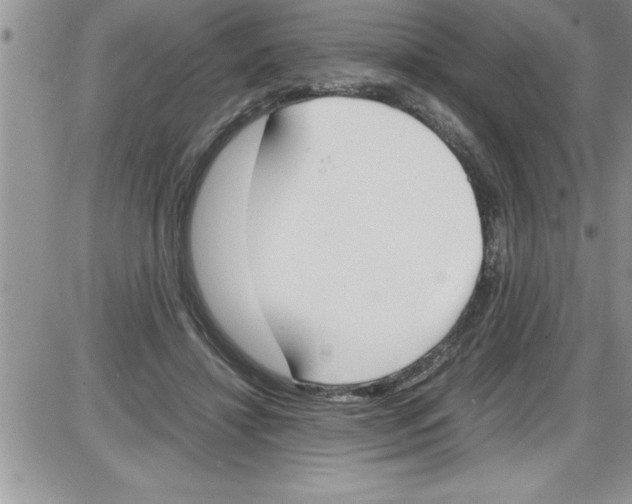 X0000086340452200704272011