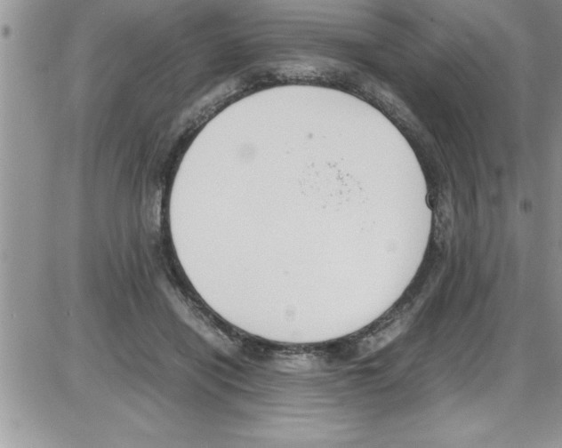 X0000086340454200704272011