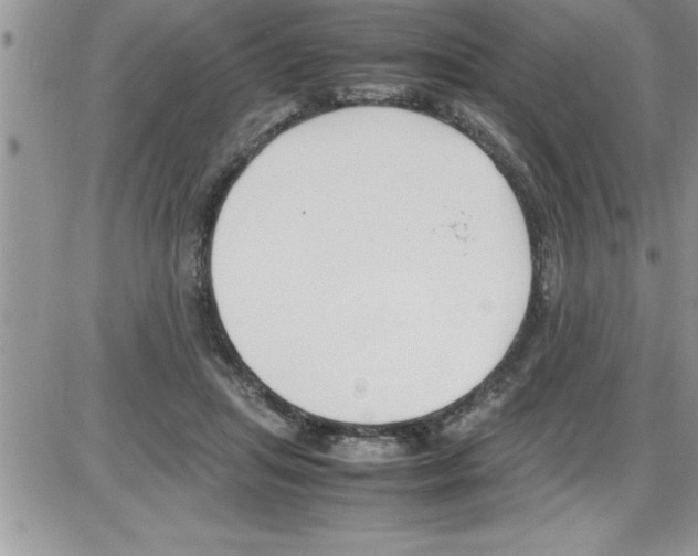 X0000086340455200704272011