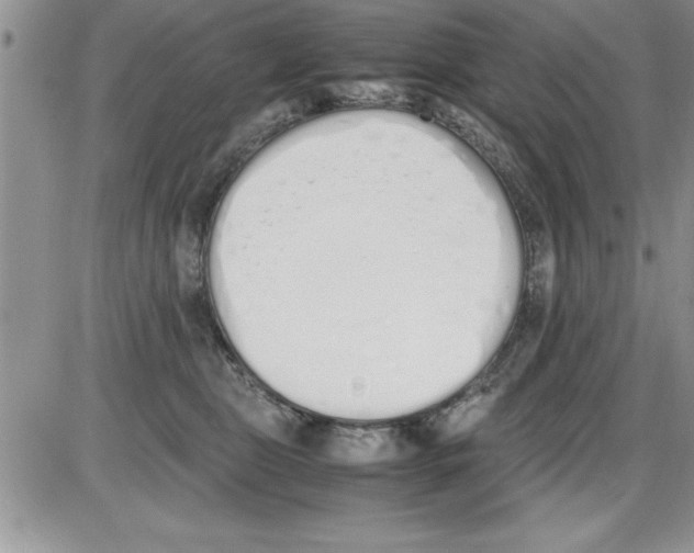 X0000086340469200704272011