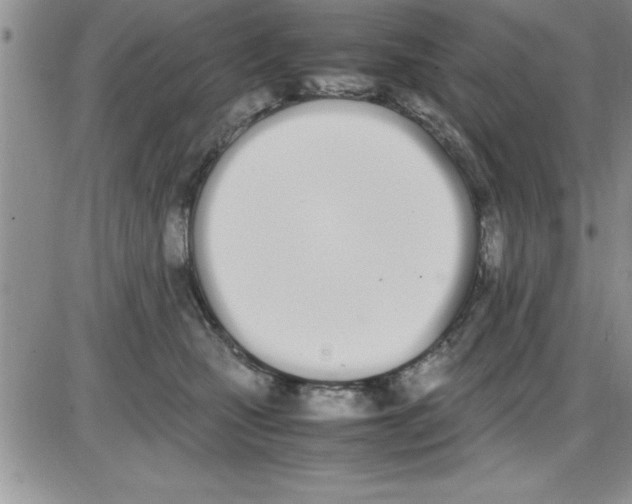 X0000086340471200704272011