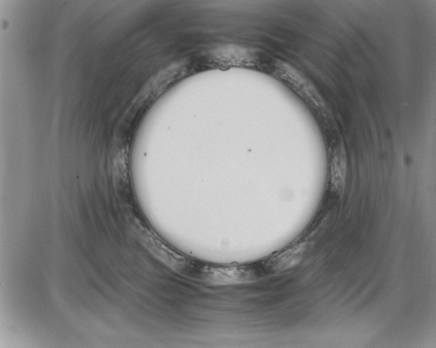 X0000086340473200704272011