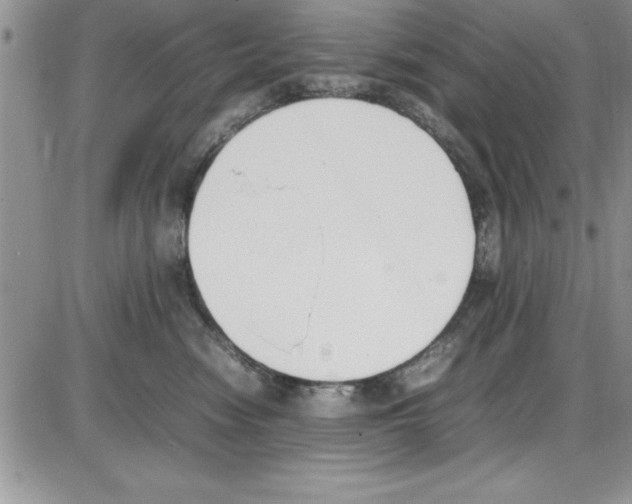 X0000086340474200704272011