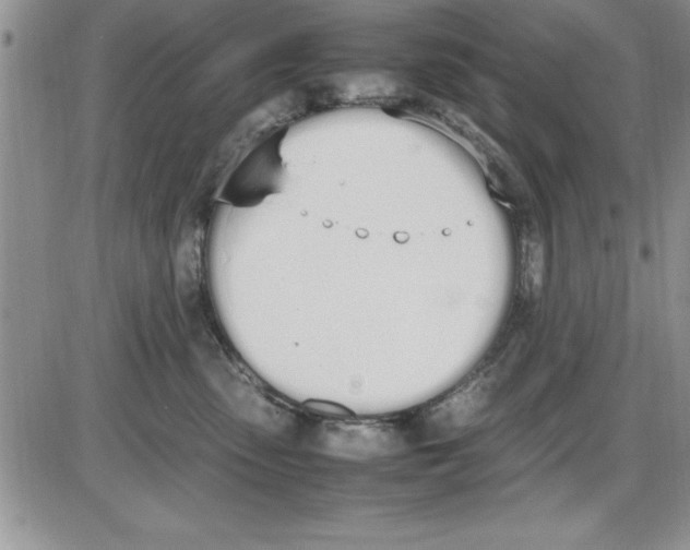 X0000086340475200704272011