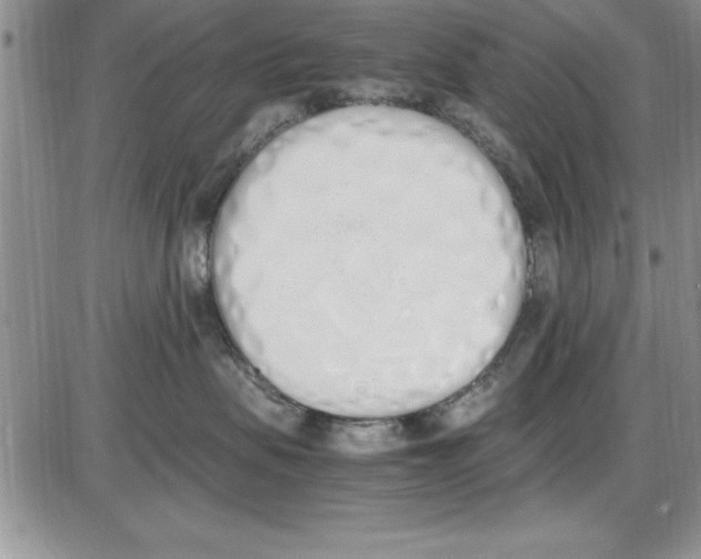 X0000086340479200704272012