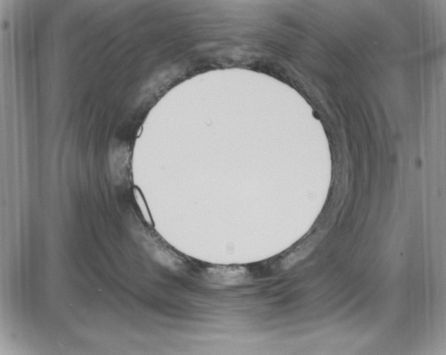 X0000086340480200704272012