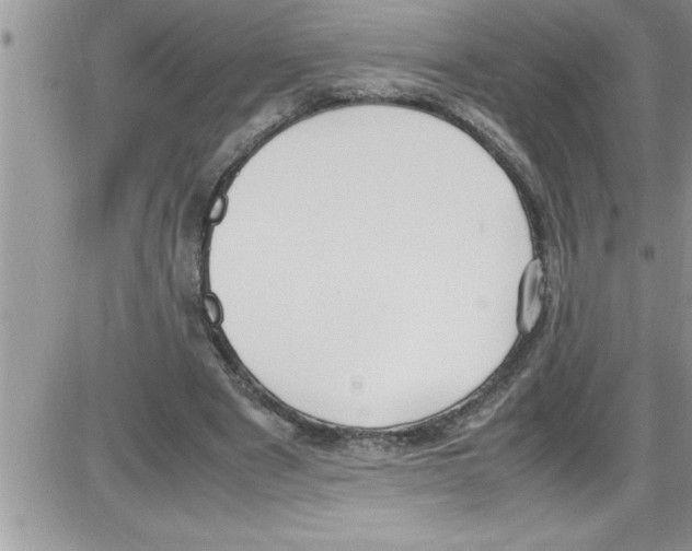 X0000086340489200704272011