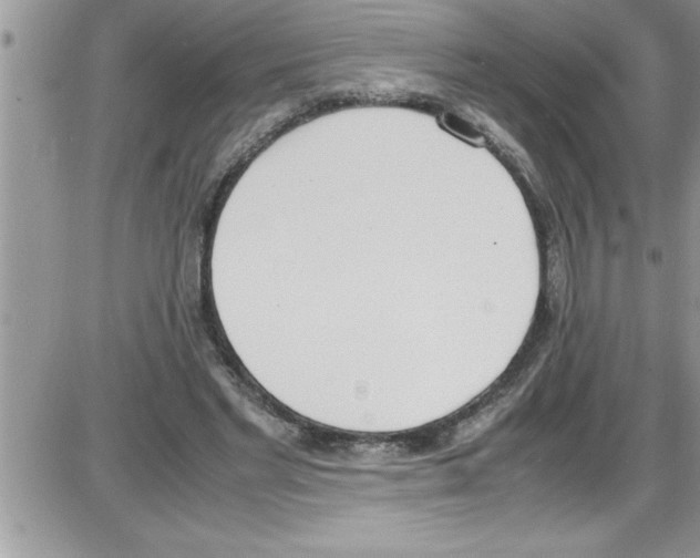 X0000086340493200704272011