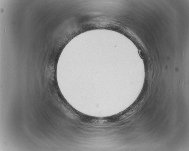 X0000086340497200704272011