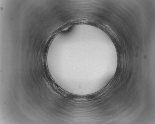 X0000086340500200704272010