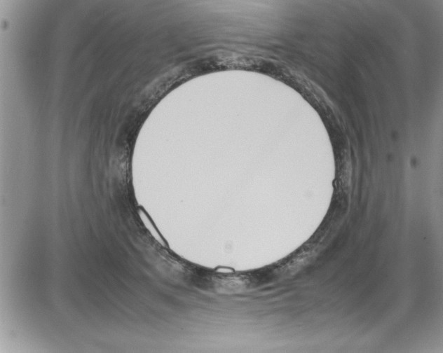 X0000086340513200704272010