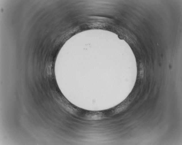 X0000086340514200704272010