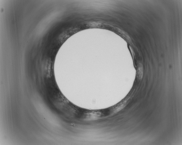 X0000086340525200704272010