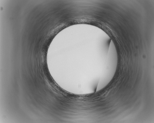 X0000086340546200704272010