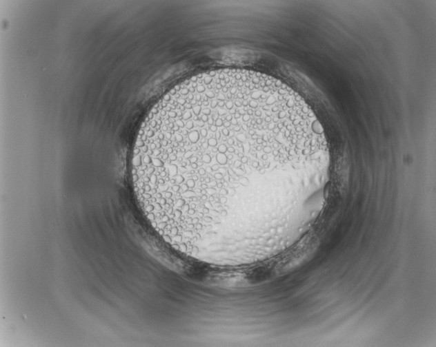 X0000086340554200704272010