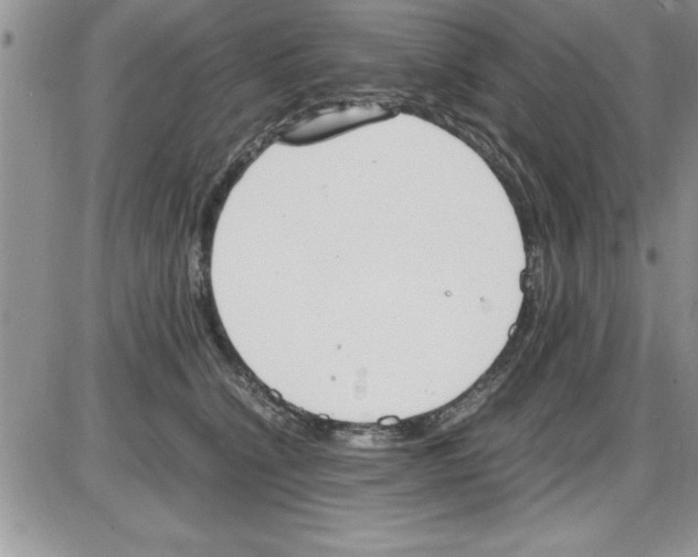 X0000086340564200704272010